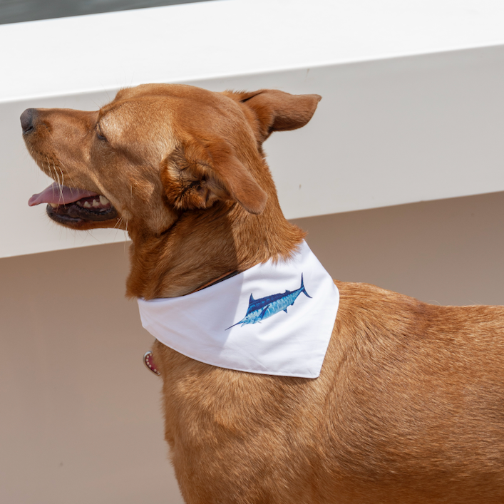 Blue Marlin Bandana